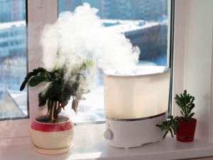 Todo lo que debes saber sobre el humidificador