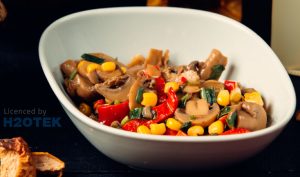 La importancia de la humedad en el cultivo de hongos comestibles