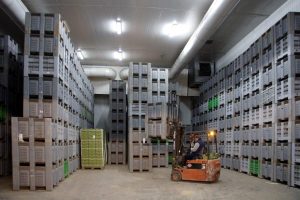 Gestión integral en cámaras de conservación: Humidificadores industriales en entornos de almacenamiento críticos