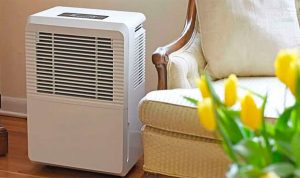controlar la humedad con un humidificador sanitizante