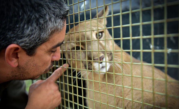 Control de Polvo y Olores en Áreas de Animales Confinados – Nebulizador como Solución Eficaz